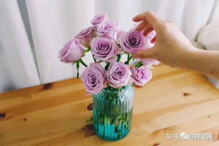 室内花瓶插花,【花艺实验室 Vol.2】花瓶插花小技巧 — 1~2种花材也能插的很好看
