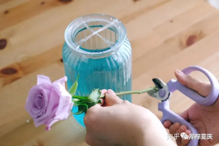 室内花瓶插花,【花艺实验室 Vol.2】花瓶插花小技巧 — 1~2种花材也能插的很好看