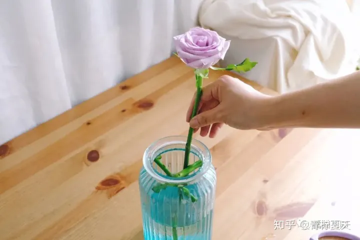 室内花瓶插花,【花艺实验室 Vol.2】花瓶插花小技巧 — 1~2种花材也能插的很好看