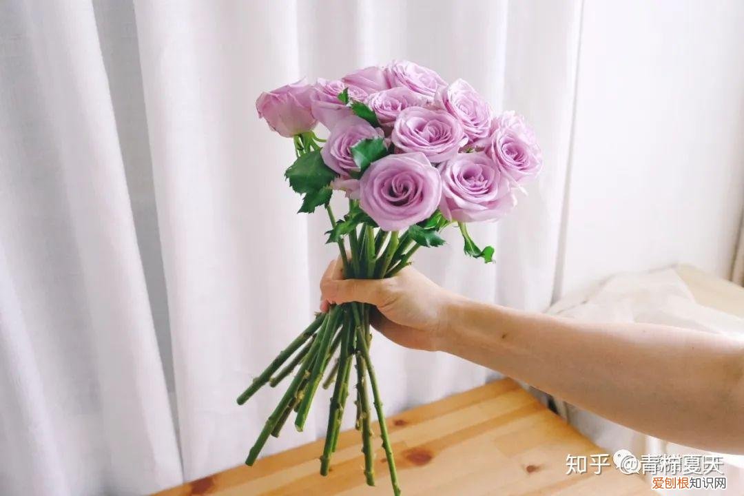 室内花瓶插花,【花艺实验室 Vol.2】花瓶插花小技巧 — 1~2种花材也能插的很好看