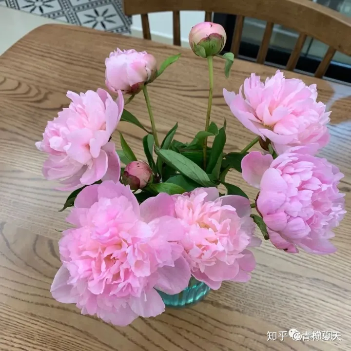 室内花瓶插花,【花艺实验室 Vol.2】花瓶插花小技巧 — 1~2种花材也能插的很好看