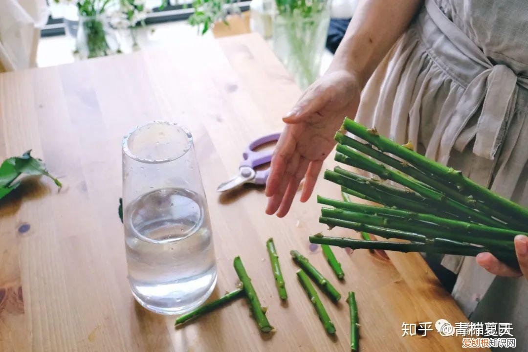 室内花瓶插花,【花艺实验室 Vol.2】花瓶插花小技巧 — 1~2种花材也能插的很好看