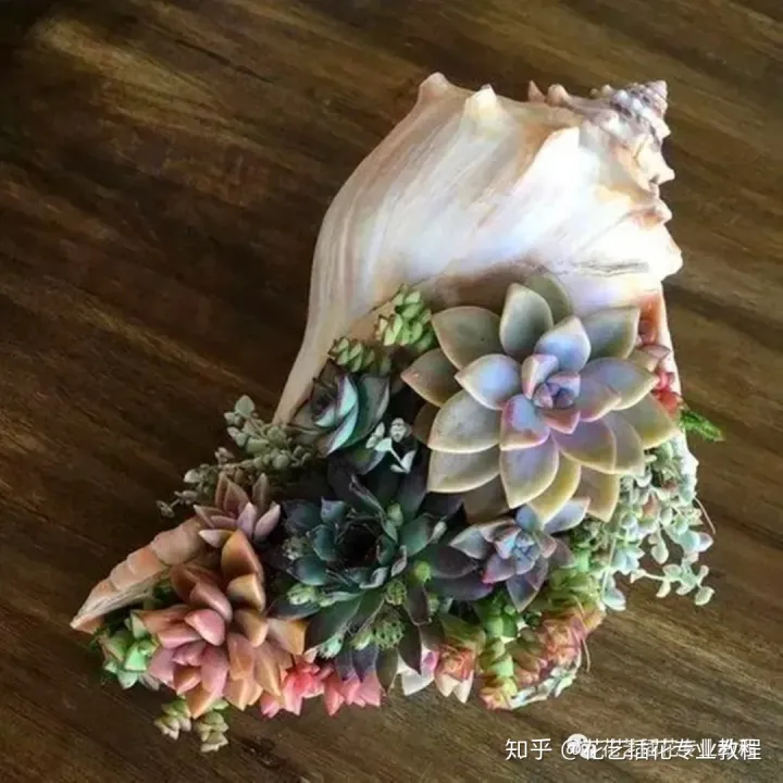 花瓶怎么养，花艺分享|养花还在用花瓶？不走寻常路的养花，才是养花的最高境界！