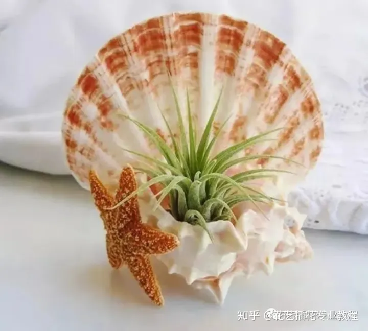 花瓶怎么养，花艺分享|养花还在用花瓶？不走寻常路的养花，才是养花的最高境界！