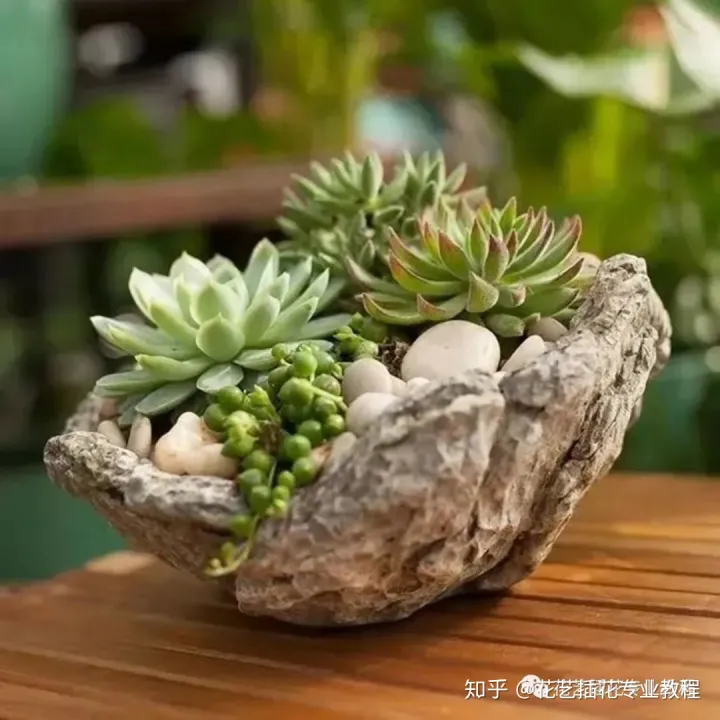 花瓶怎么养，花艺分享|养花还在用花瓶？不走寻常路的养花，才是养花的最高境界！