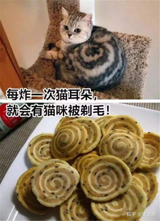 没有买卖就没有伤害的动物，没有买卖就没有伤害！保护小动物，从你我做起~