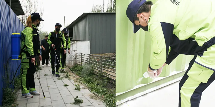 关爱动物,我们在行动，保护小动物，我践行，你助力，我们一起走下去