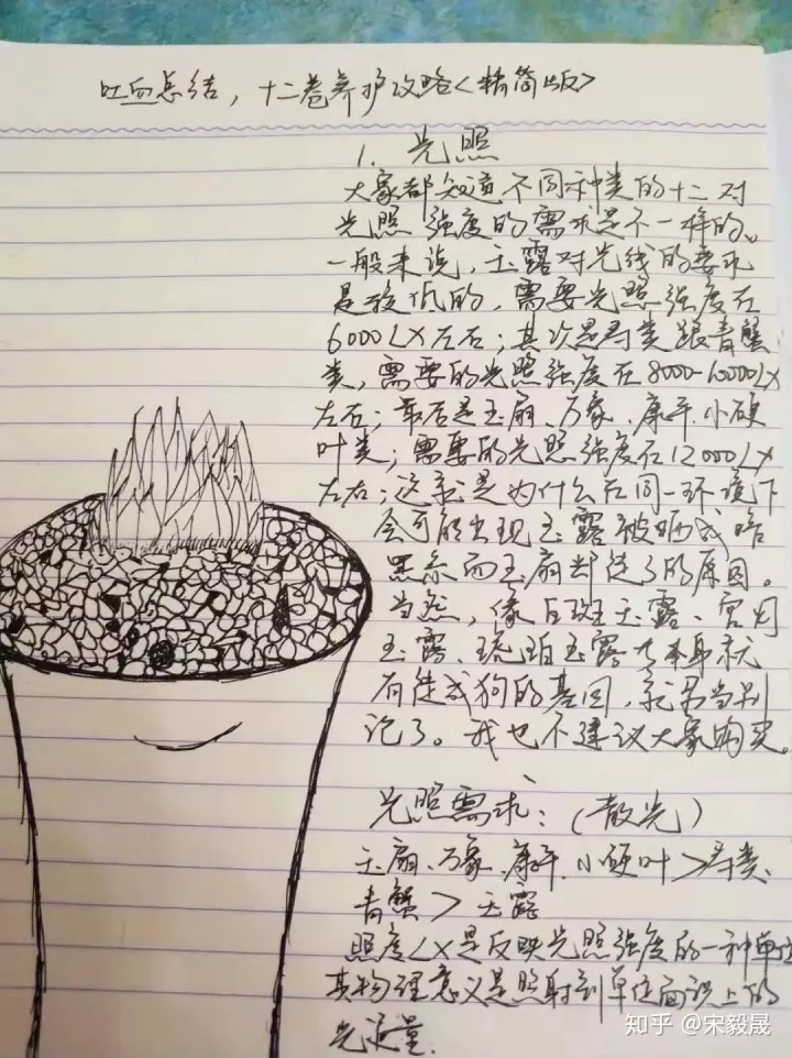 养花水里面放什么能让花保持时间长，有没有喜欢养花的朋友，分享一下成功的养花经验？