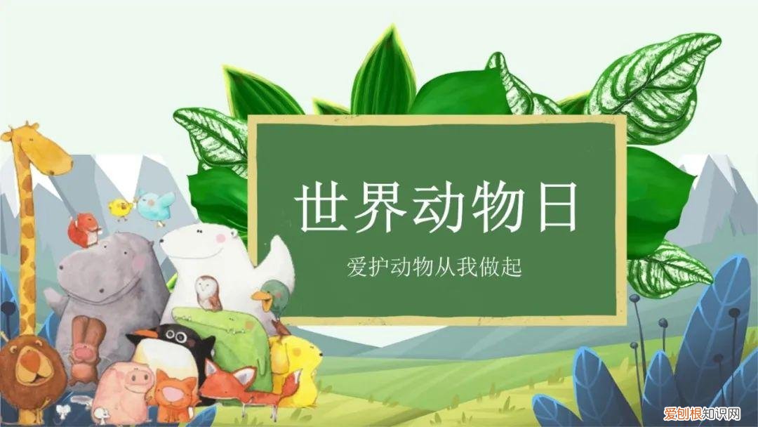 爱护动物的节日手抄报，主题节日 | 爱护动物，从我做起