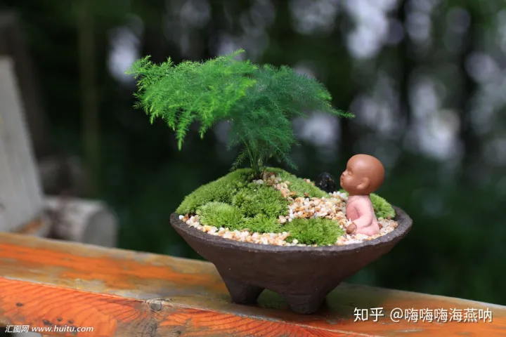养花的小窍门，值得收藏的养花妙招！