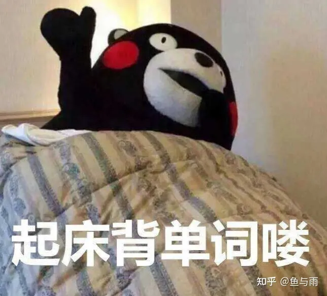 考研英语单词如何背比较快，24考研如何背单词？