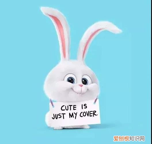 我们是在养小孩,而不是在养花的说说，我们是在养小孩，而不是在养花