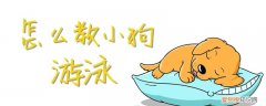 怎么教小狗游泳，怎么教小狗游泳视频教程