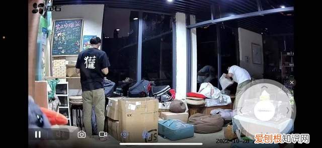因“穷”出圈，南京红山动物园的“他救”与“自救”：开直播、线上募捐、开放认养