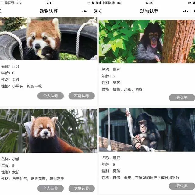 因“穷”出圈，南京红山动物园的“他救”与“自救”：开直播、线上募捐、开放认养