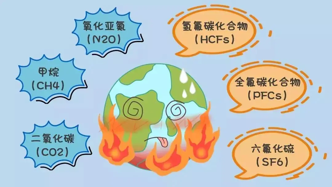保护环境和动物我们平时应该怎么做，为了保护环境，你愿意吃掉你的宠物吗？