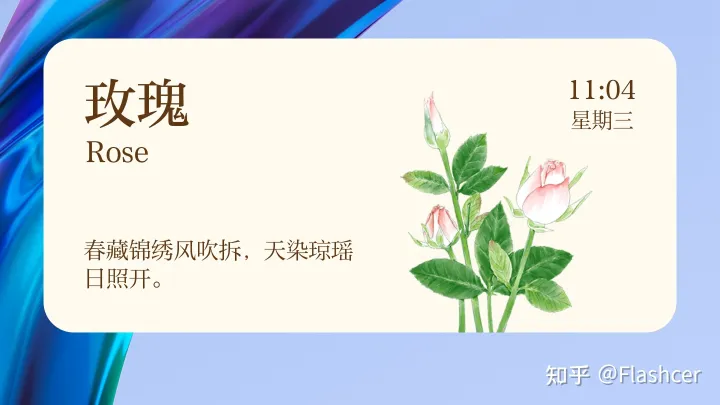小米手机应用显示网络异常，MIUI 13小部件新增【花期】，5款样式随意添加桌面，你喜欢哪一种？