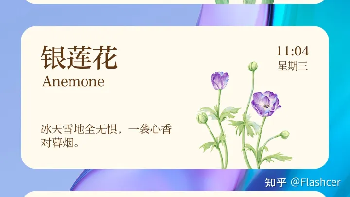小米手机应用显示网络异常，MIUI 13小部件新增【花期】，5款样式随意添加桌面，你喜欢哪一种？