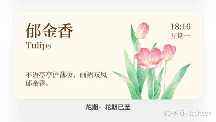 小米手机应用显示网络异常，MIUI 13小部件新增【花期】，5款样式随意添加桌面，你喜欢哪一种？