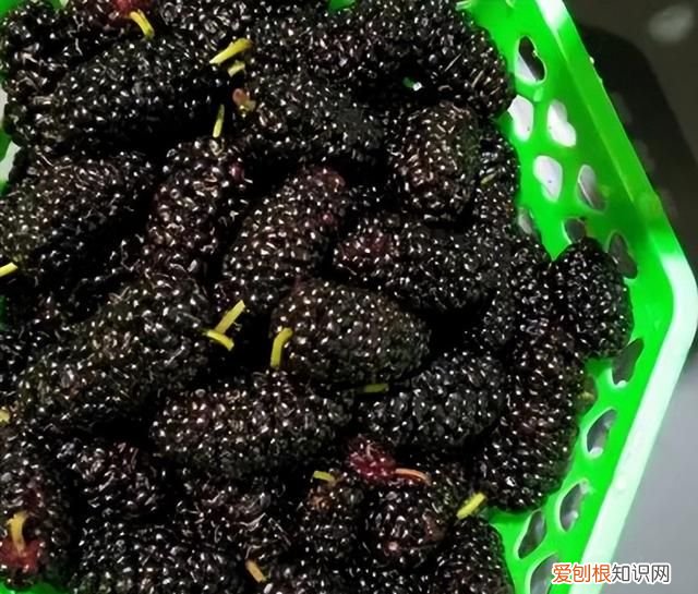 来月经吃什么水果容易停经,女人例假来袭尽量少碰3种水果