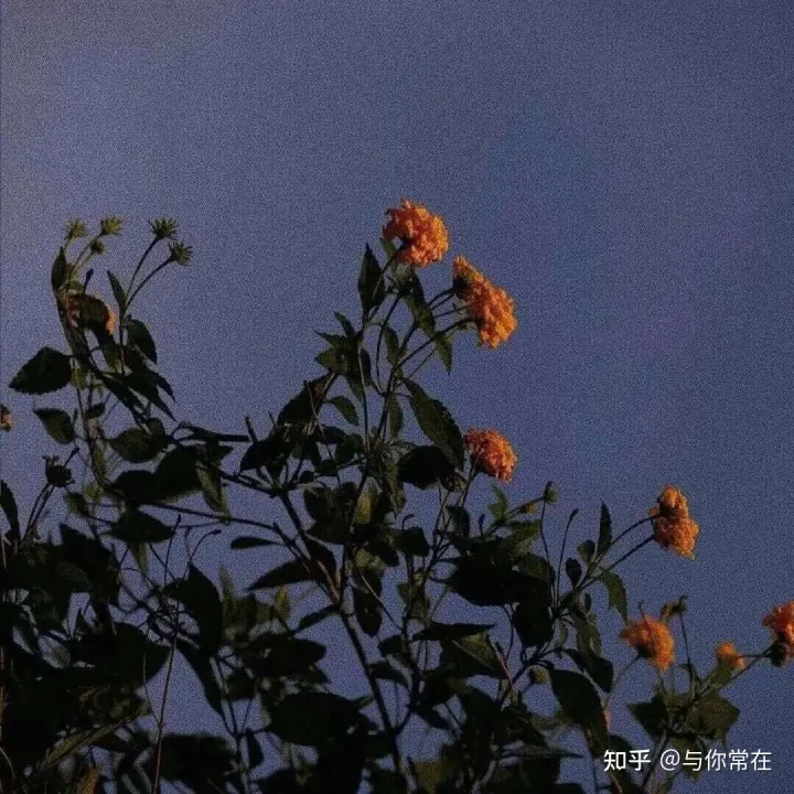 那些让人一眼就惊艳的句子，有哪些让你一眼就觉得惊艳的神仙句子？
