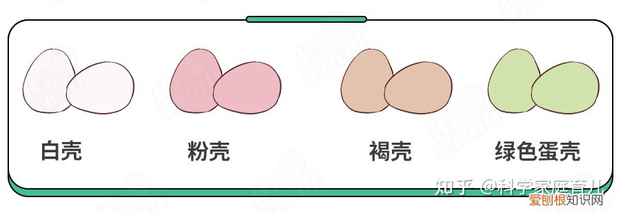 鸡蛋真的有抗生素吗，天天吃的鸡蛋，竟也不安全了？抽检出抗生素超标，我们如何规避？