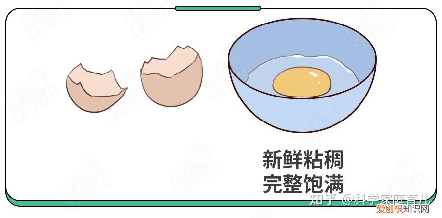 鸡蛋真的有抗生素吗，天天吃的鸡蛋，竟也不安全了？抽检出抗生素超标，我们如何规避？