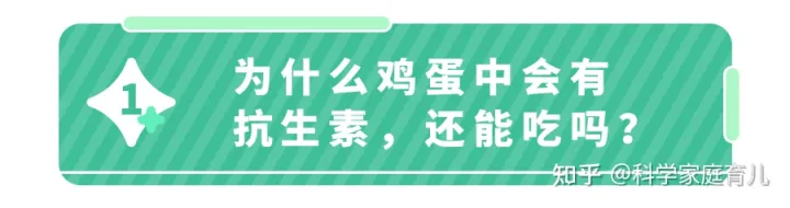 鸡蛋真的有抗生素吗，天天吃的鸡蛋，竟也不安全了？抽检出抗生素超标，我们如何规避？
