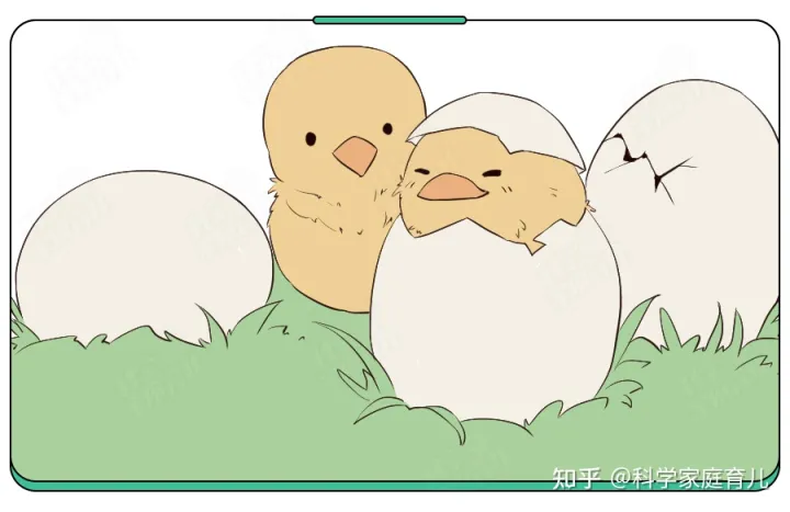 鸡蛋真的有抗生素吗，天天吃的鸡蛋，竟也不安全了？抽检出抗生素超标，我们如何规避？