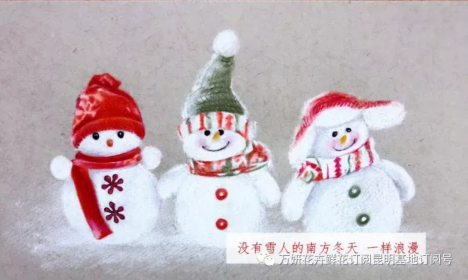 分南方篇和北方篇,精华而实用 康乃馨花的养殖方法和注意事项 盆栽,万妍冬日养花日记 康乃馨的养护方法