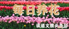 养花有哪些技巧，爱养花的你，知道养花的15个诀窍吗