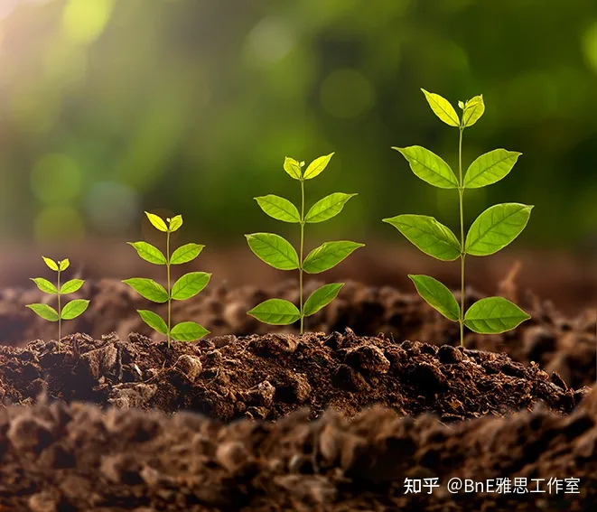 雅思作文 保护动物还是保护人物，雅思写作冲7素材—保护野生动物