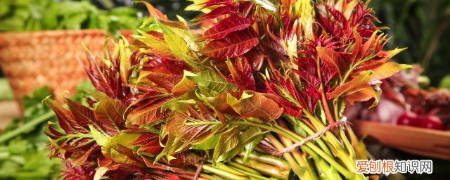 椿和菠菜可以一起吃吗 香椿和菠菜能一起吃吗