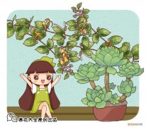 什么花死不了多年生，快死的花不要扔，用这5个方法就能活，而且长得旺盛！