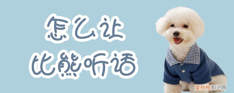 怎么让比熊听话，怎样使比熊听主人的话