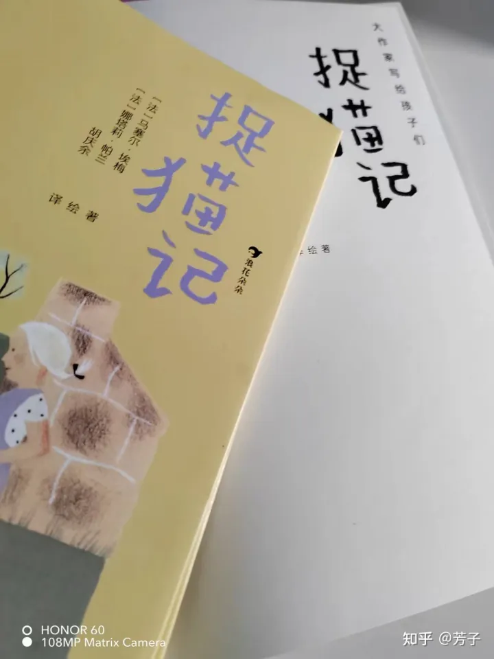 小猫抓鸟的故事，《捉猫记》两个小女孩和小动物们在农场发生的有趣故事