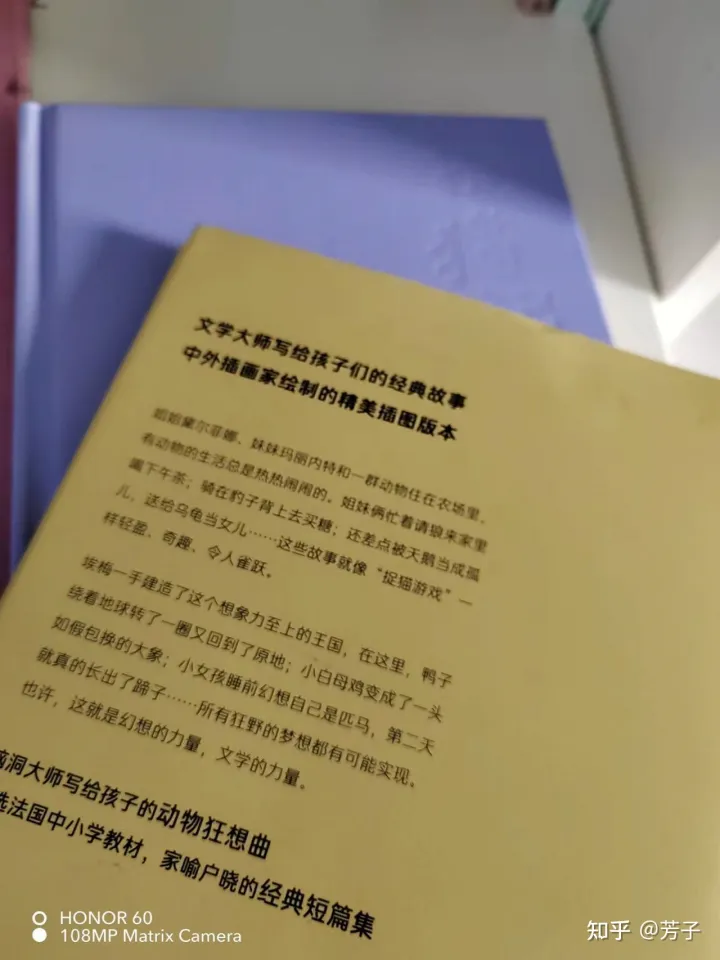 小猫抓鸟的故事，《捉猫记》两个小女孩和小动物们在农场发生的有趣故事