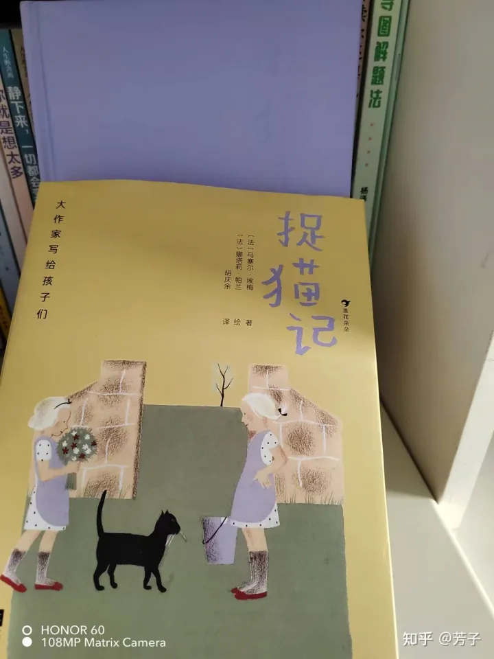 小猫抓鸟的故事，《捉猫记》两个小女孩和小动物们在农场发生的有趣故事