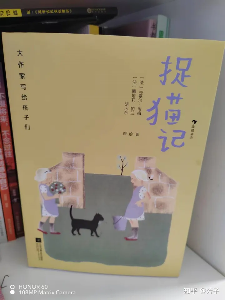 小猫抓鸟的故事，《捉猫记》两个小女孩和小动物们在农场发生的有趣故事