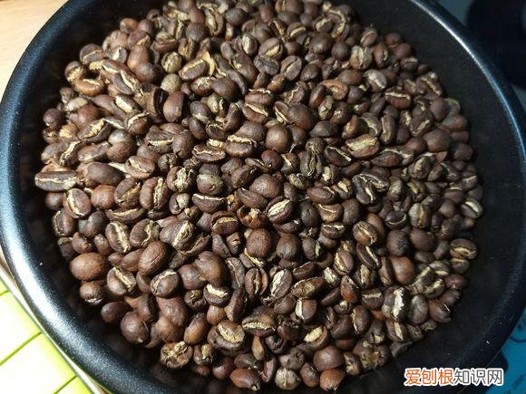 请教养花的技术要领，有了老花匠教授的这7个养花小窍门，再难养的花新手都能养爆盆！