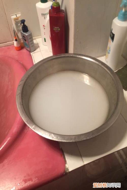 请教养花的技术要领，有了老花匠教授的这7个养花小窍门，再难养的花新手都能养爆盆！