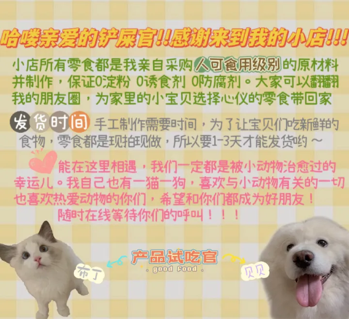 物的小动物,关于小动物的一切
