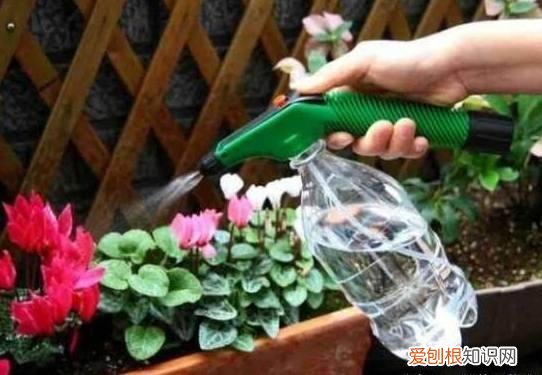 老花经验法，老花农“独家秘笈”，越浇越旺，值得收藏