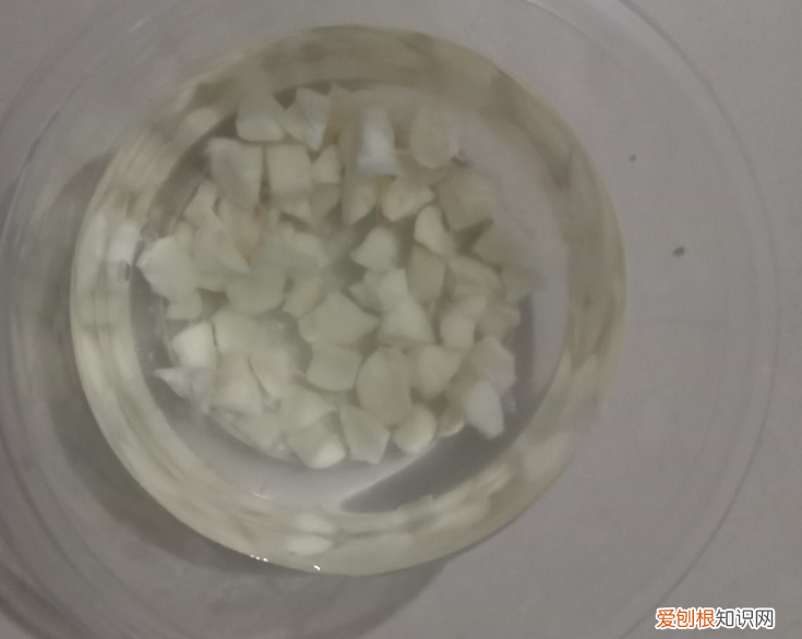 养花叶子干枯怎么处理，老花农透露的5个小偏方，养啥花都旺，叶子嗖嗖长！