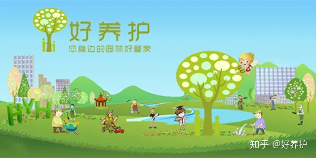 养花浇水小技巧,秋季浇水有窍门,养花30年的老花农手把手教你怎么浇水!