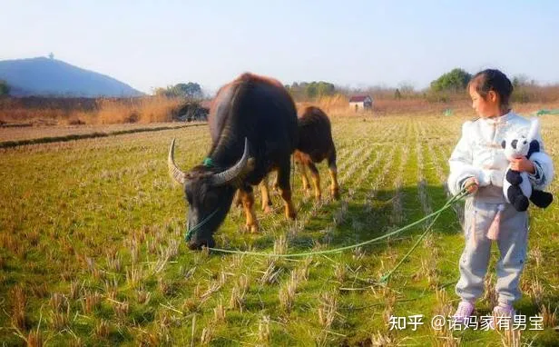 我国古人特别喜欢在诗中写动物你能举出一两例吗，古人是如何描写小动物的呢？8首诗8种动物，换个方式教孩子认识