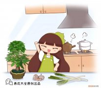 什么植物浇水就能活，祖传养花的秘诀，就浇这5种水，盆盆长得油绿茂盛！
