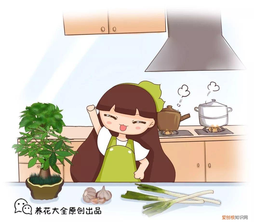 什么植物浇水就能活，祖传养花的秘诀，就浇这5种水，盆盆长得油绿茂盛！