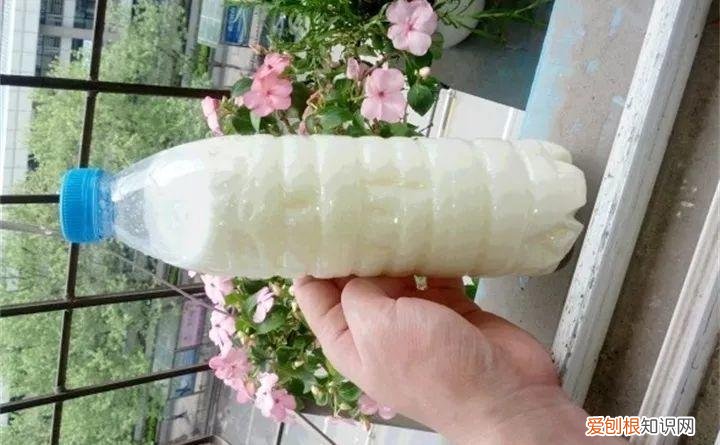 什么植物浇水就能活，祖传养花的秘诀，就浇这5种水，盆盆长得油绿茂盛！
