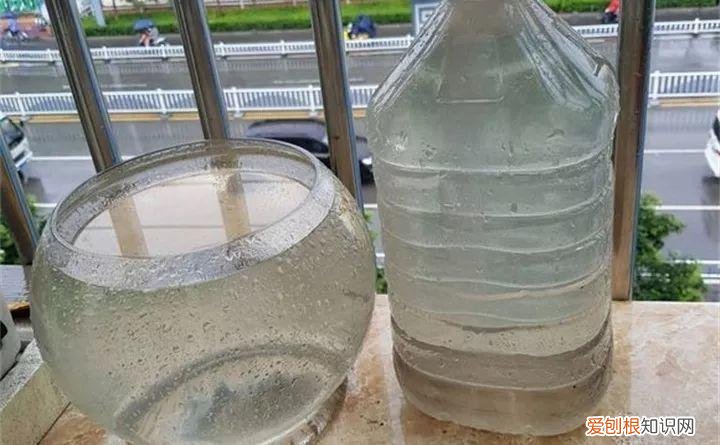 什么植物浇水就能活，祖传养花的秘诀，就浇这5种水，盆盆长得油绿茂盛！